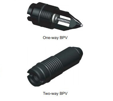 ওয়ান ওয়ে টু ওয়ে ব্যাক প্রেসার ভালভ TWCV BPV 2" থেকে 6-1/16"